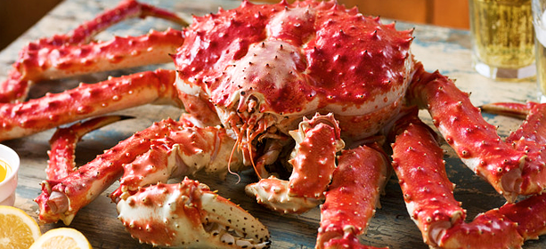 <p><strong style="font-size: 2.13em; color: rgb(182, 165, 82);">Make it an evening to remember</strong></p><p><br></p><p><span style="font-size: 1.2em;">Get outstanding food and beverage services from the friendly staff who will make your experience unforgettable here at City Lights Supper Club.</span></p>