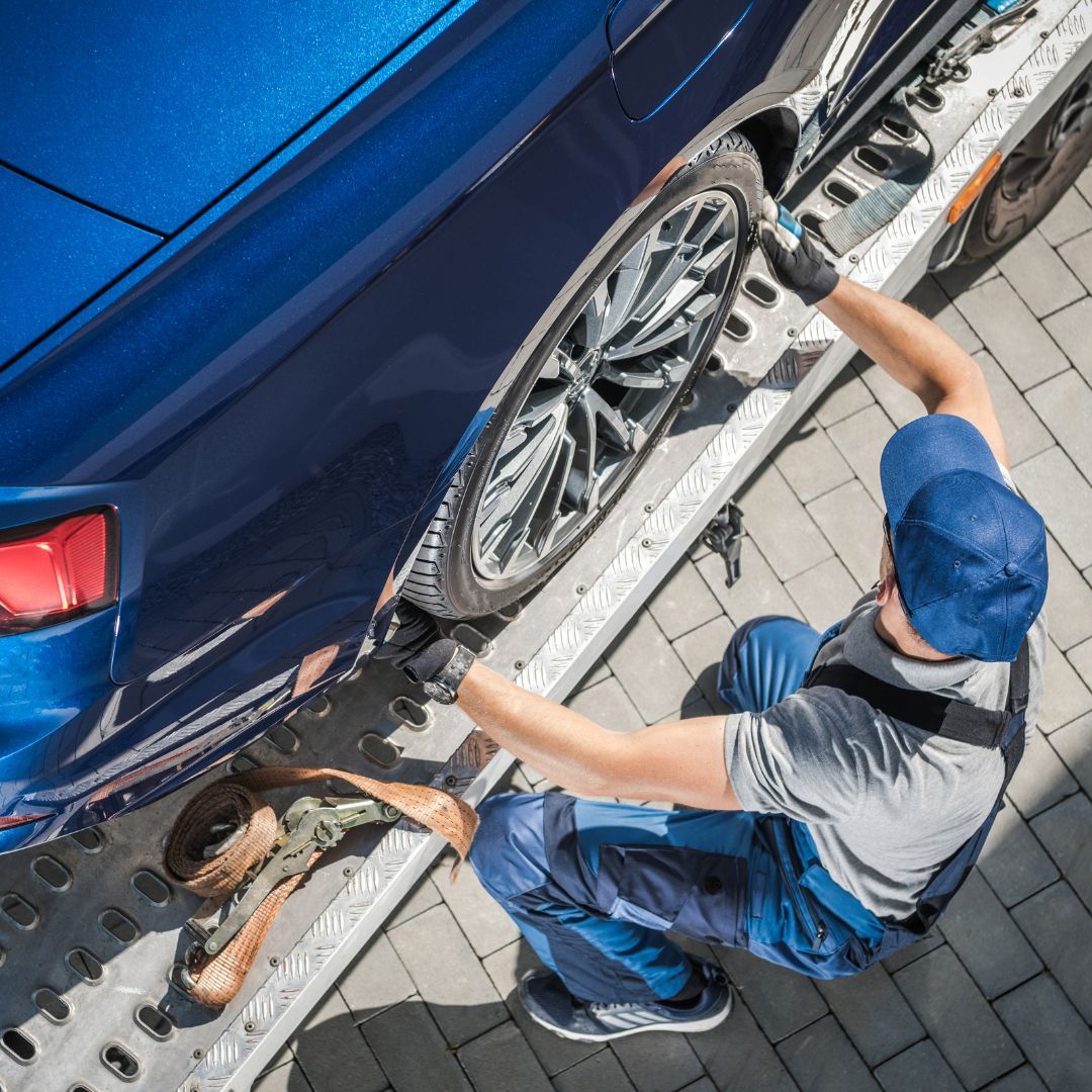 <p><span style="color: rgb(203, 3, 0);">COMPREHENSIVE VEHICLE RECOVERY SERVICES</span></p>