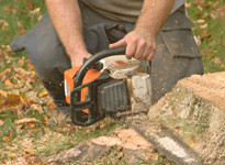 <p>Get the most use out of your land by allowing Mike's Bobcat Service to clear away all of the overgrowth and level the area. You don't have to worry about uneven ground, dangerous stumps, or plants making your space unusable. With high-quality equipment and experienced workers, your land will be ready to use in no time.</p><p><br></p><p>Some benefits of land clearing include:</p><p><br></p><ul class="quill-list"><li>Minimal ground disturbance</li><li>Does not damage the root systems of surrounding trees</li><li>Immediate use of cleared property</li></ul><p><br></p>