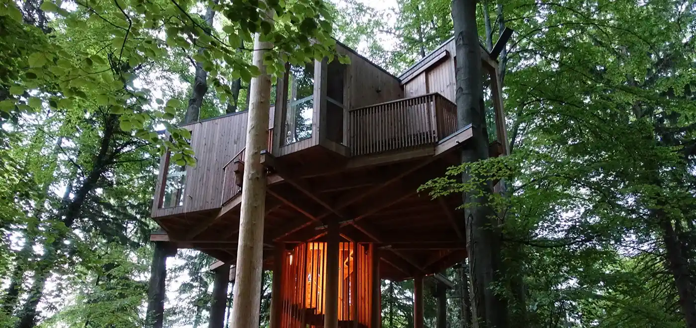 Let Living Tree Build The Tree House!