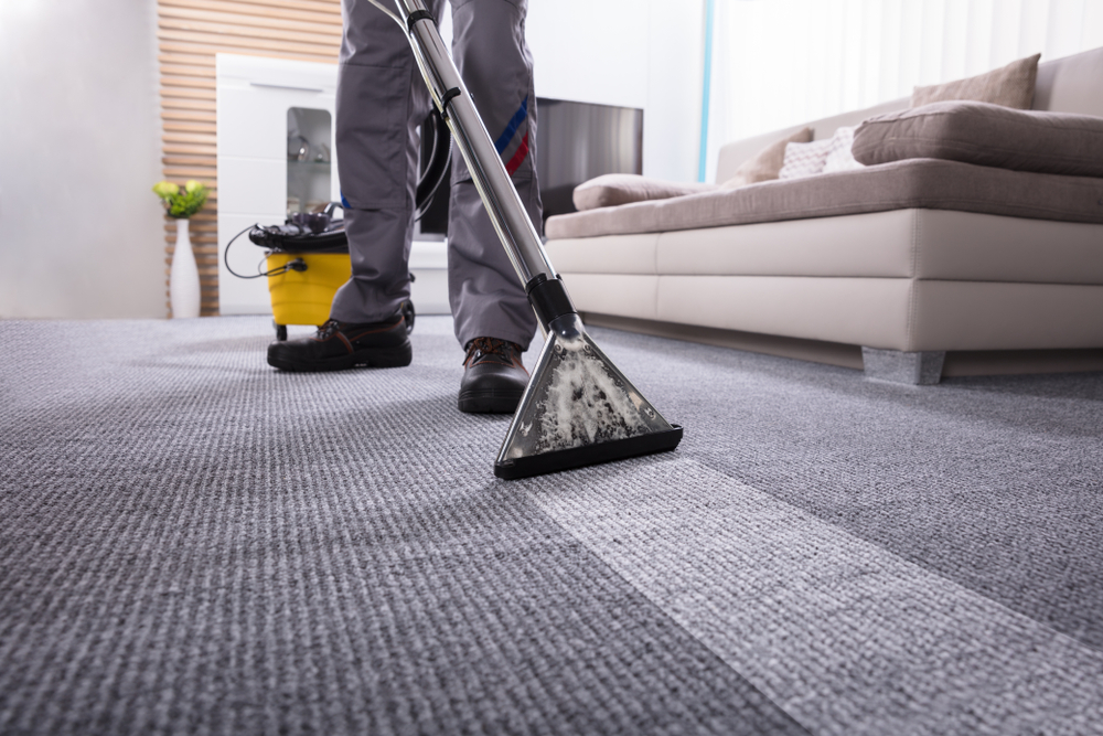 Larkins Carpet Steam Cleaning