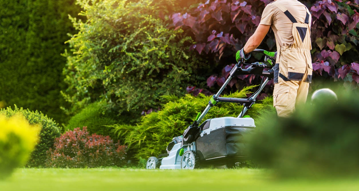 Contact us today for a free estimate on lawn services!