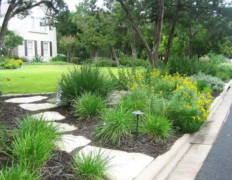  XERISCAPING WITH NATIVE AND ADAPTIVE PLANTS