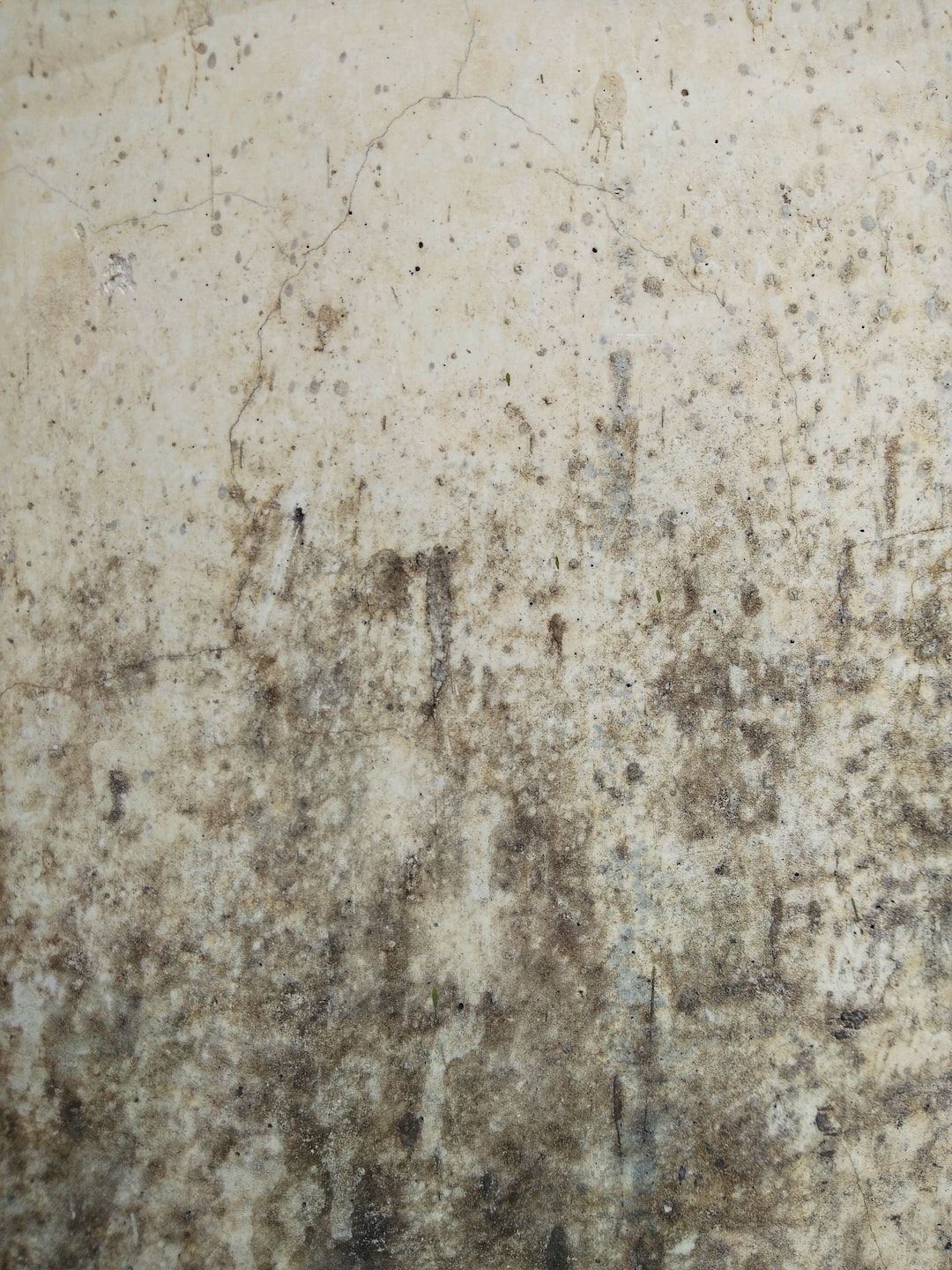 Section background image